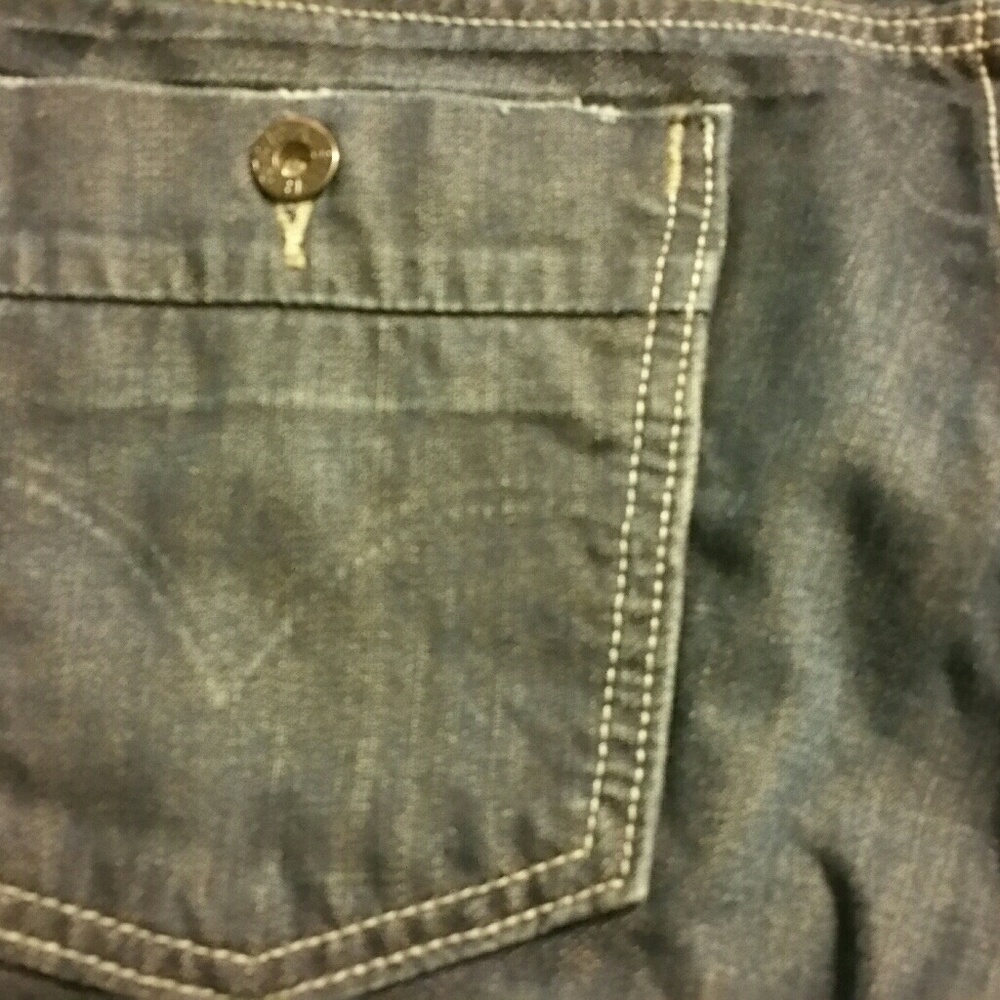 Levi - Picture 3 of 3